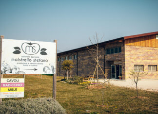 Una passione chiamata terra: l’azienda agricola Maistrello Stefano