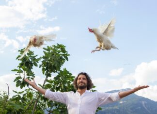 Uova di montagna: dove le galline felici producono le uova degli chef stellati